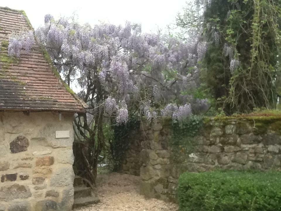 Domaine De Sautou Ξενοδοχείο Castanet  Εξωτερικό φωτογραφία