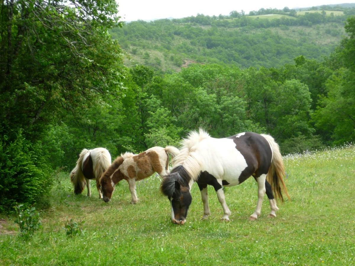 Domaine De Sautou Ξενοδοχείο Castanet  Εξωτερικό φωτογραφία