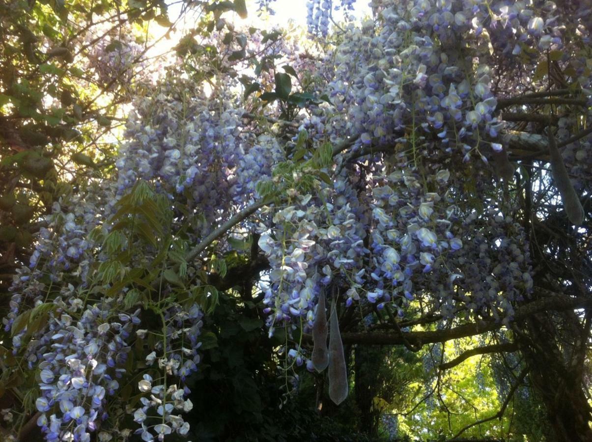 Domaine De Sautou Ξενοδοχείο Castanet  Εξωτερικό φωτογραφία