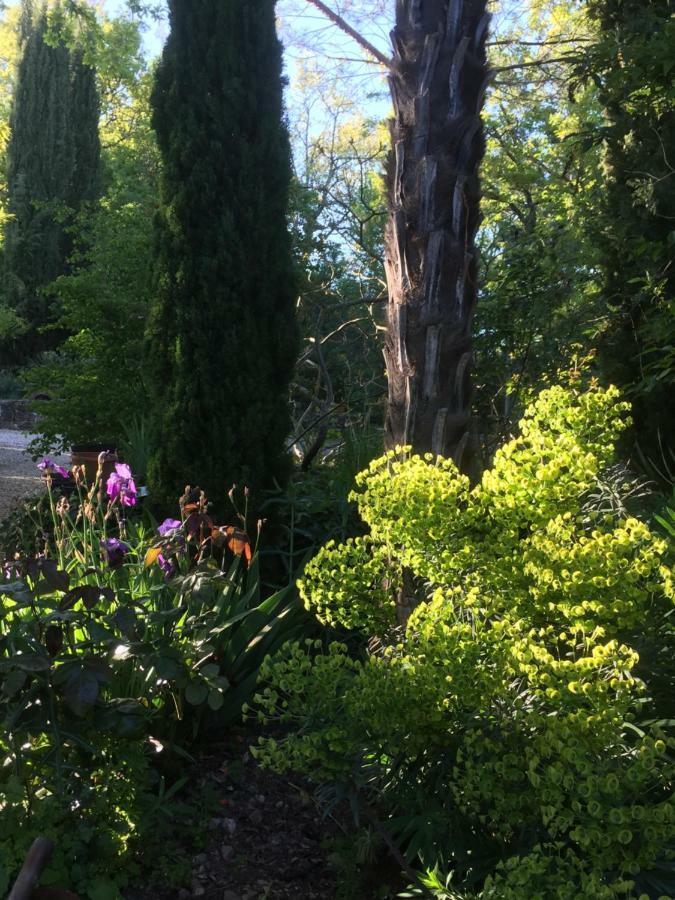 Domaine De Sautou Ξενοδοχείο Castanet  Εξωτερικό φωτογραφία